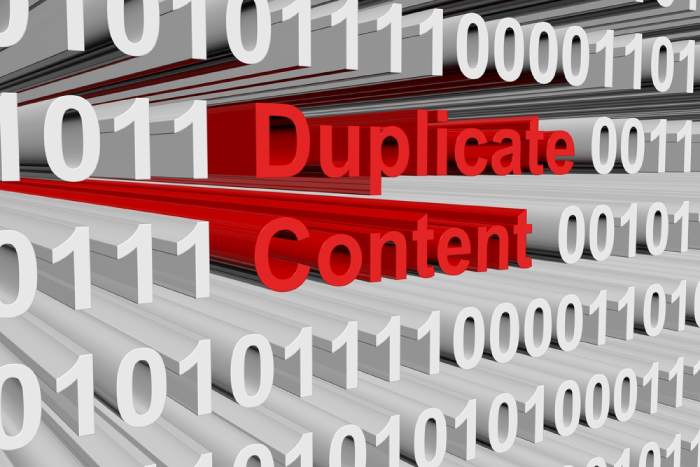 Avoid Duplicate Content