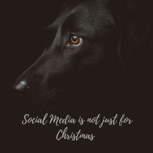 social media is not just for Christmas