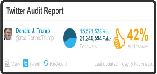 Twitter Audit report